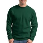 Hanes Comfortblend - EcoBlend Crewneck Sweatshirt.  P160